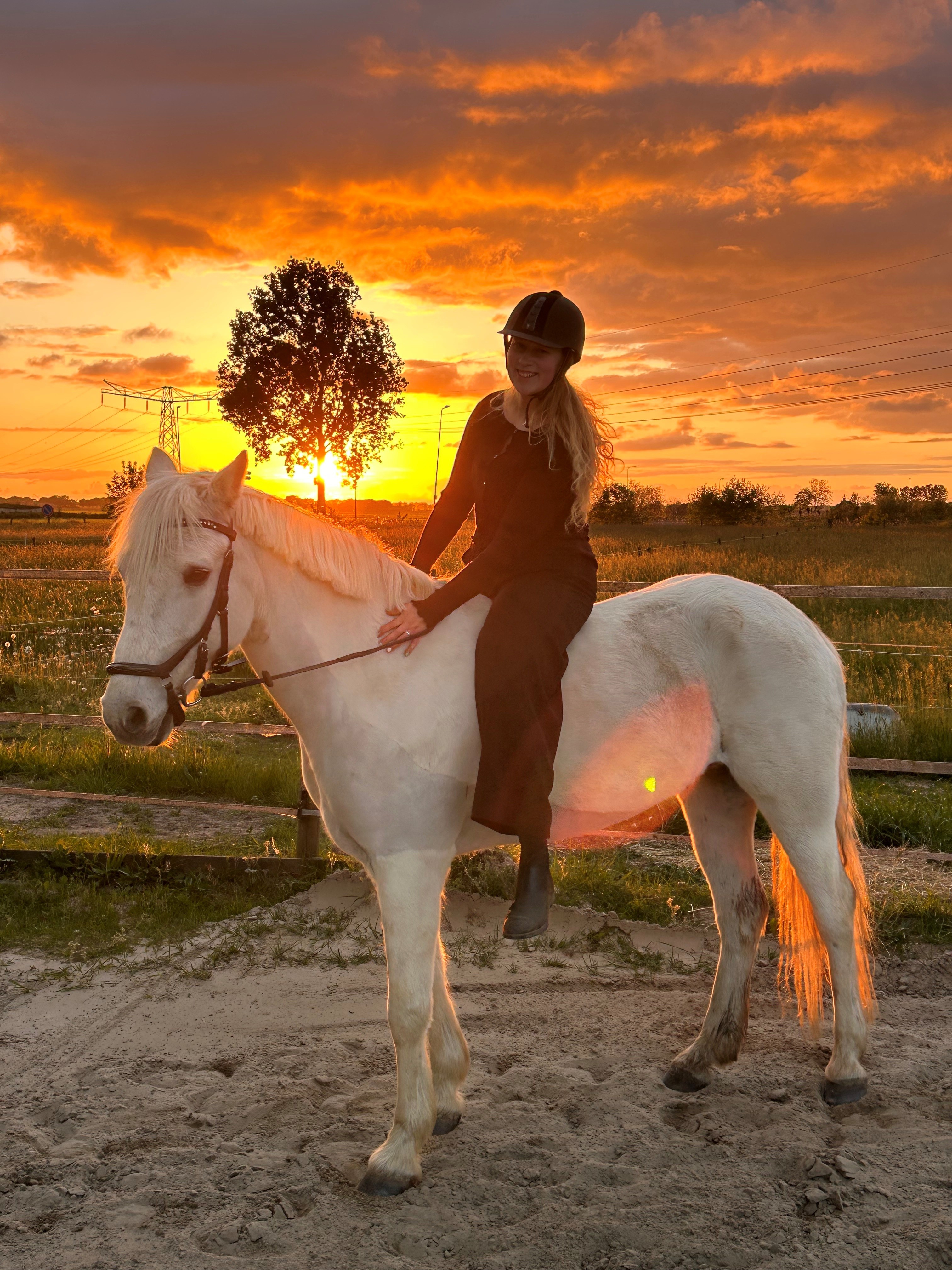Abigaïl met paard